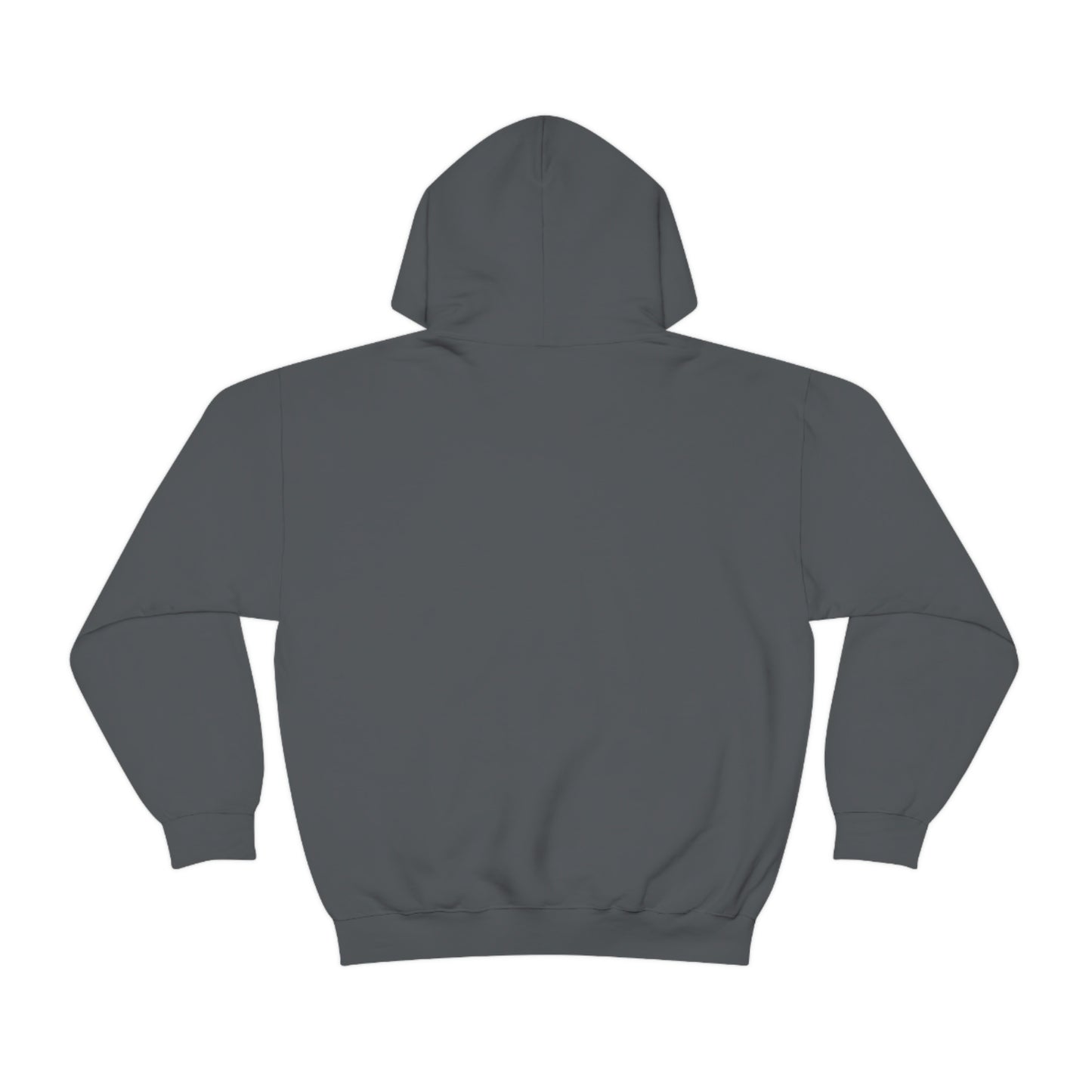Famous Photographer Hoodie
