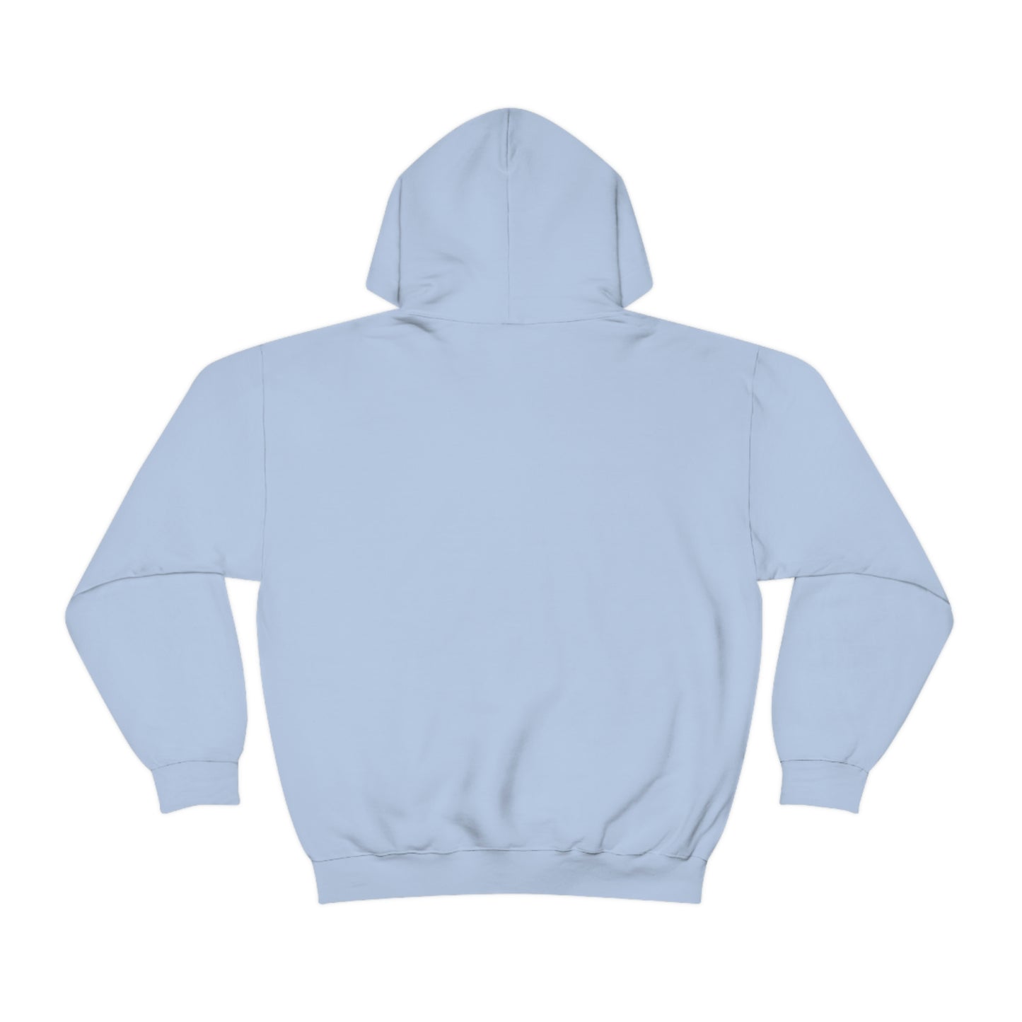 Famous Photographer Hoodie