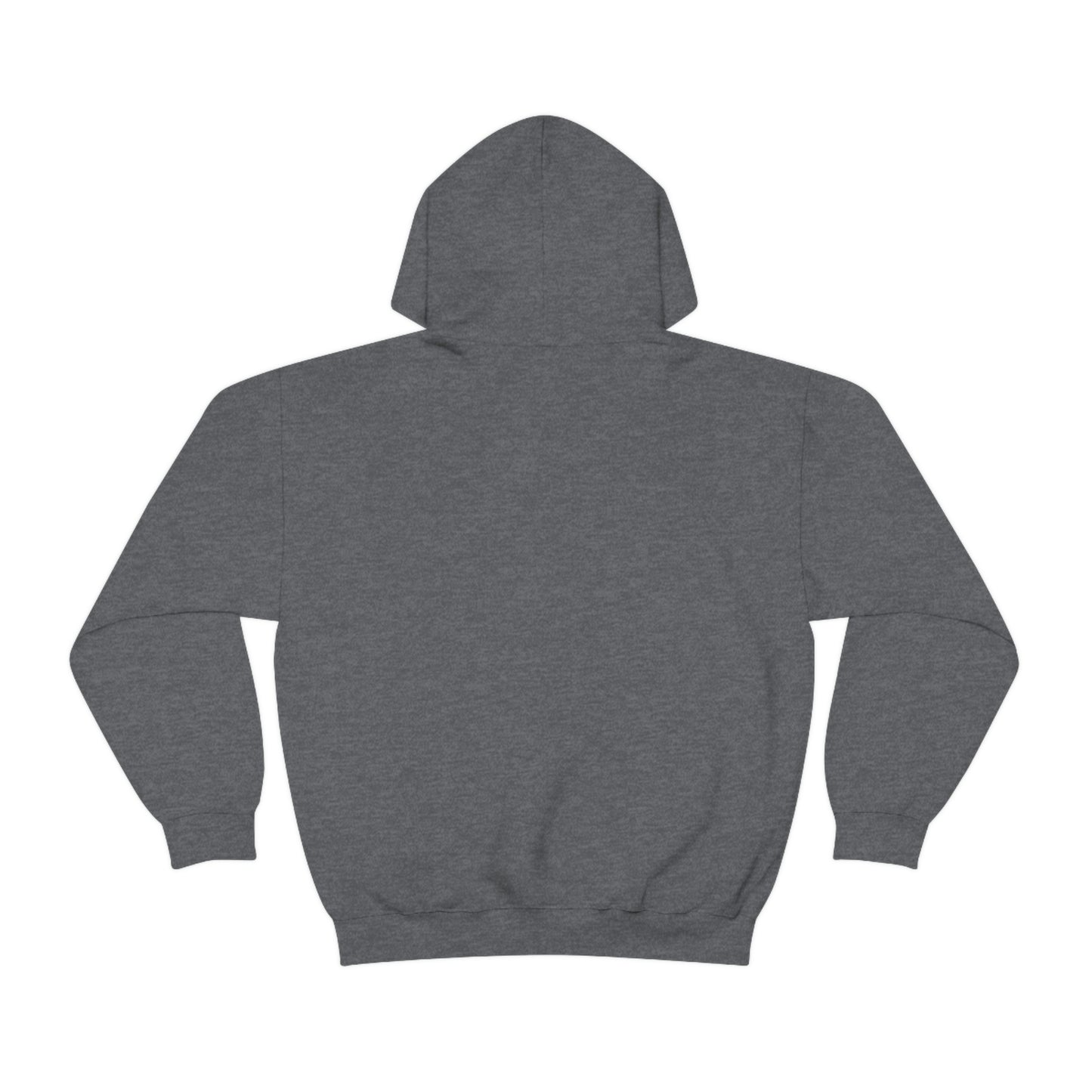 Famous Photographer Hoodie